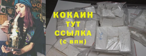 твердый Богородицк