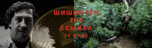 прущие грибы Белоозёрский