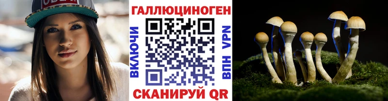 Галлюциногенные грибы Psilocybine cubensis  наркота  Бирск 